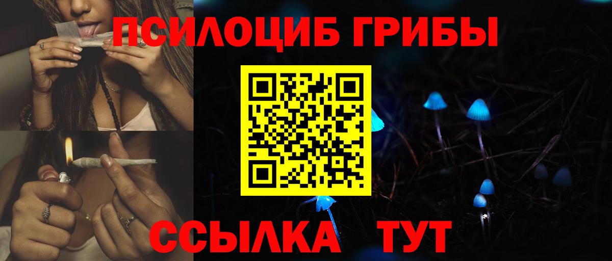 Псилоцибиновые грибы ЛСД Урюпинск