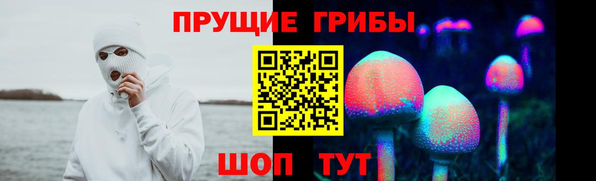 Галлюциногенные грибы мицелий  Вход с VPN  Урюпинск 